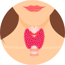 Thyroid